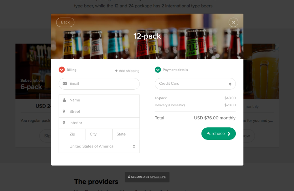 The Payment Checkout Page